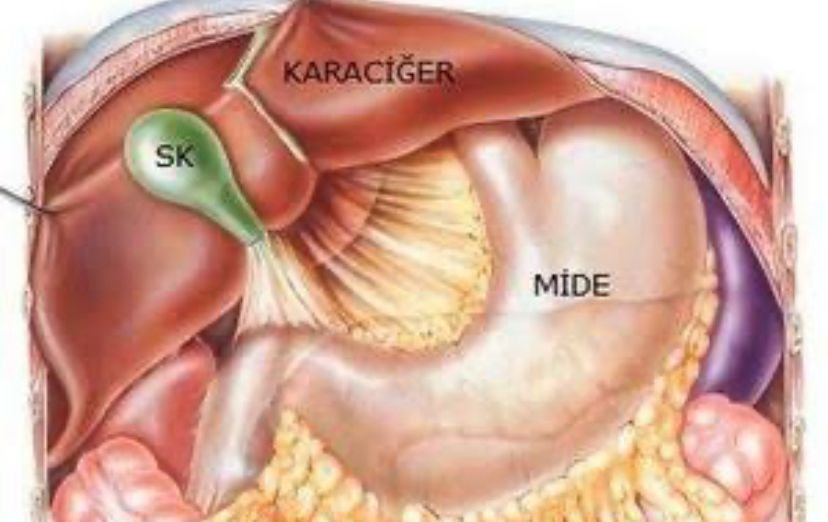 Safra Taşı Belirtileri ve Tedavi Yöntemleri | Doç. Dr. Hüseyin Eken